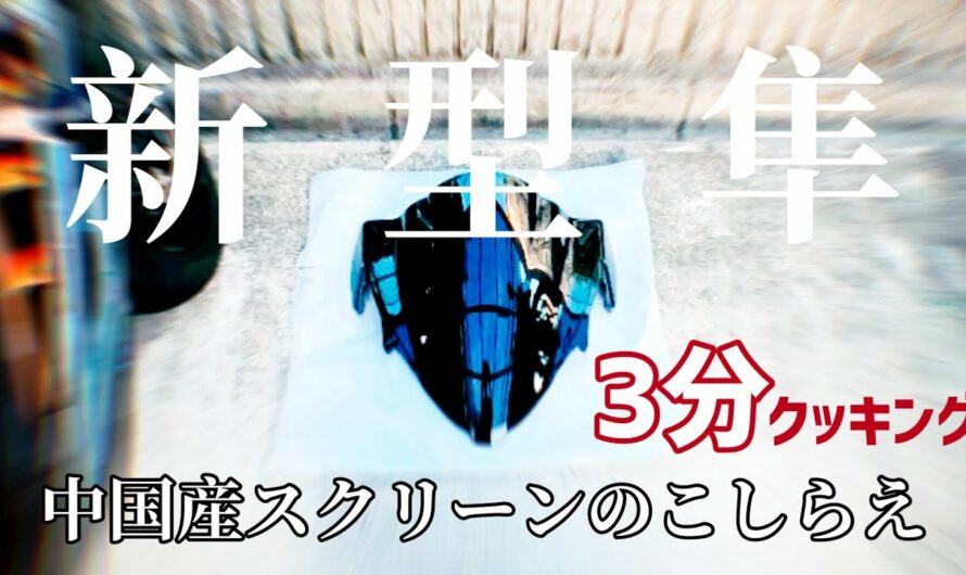 【バイク女子】蚊まみれの中スクリーン交換する変態娘【新型隼】