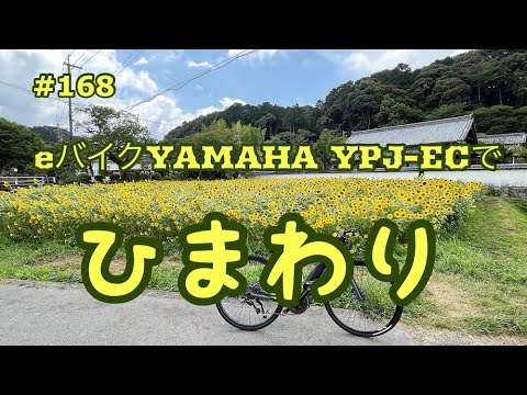 ［第168話］eバイクで金剛寺ひまわりへ（電動アシスト自転車）（E-BIKE）（YPJ-EC）