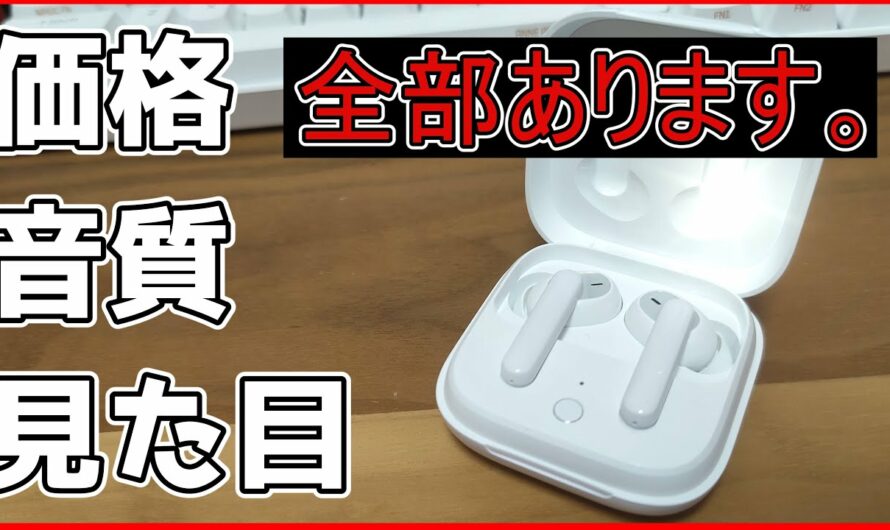 【安い】6千円でノイキャンとワイヤレス充電！完全ワイヤレスイヤホン OPPO Enco W51 レビュー！[ANC][ノイズキャンセリング][TWS]