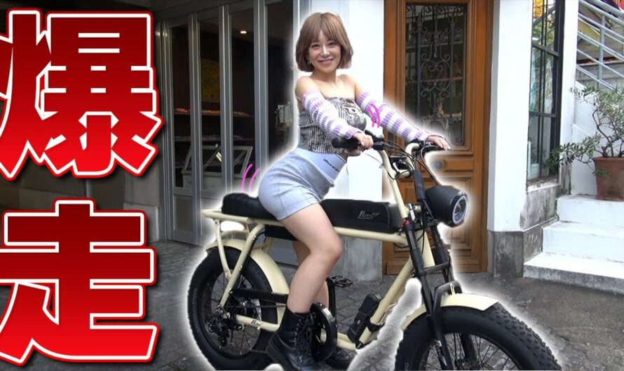 【ebike】今話題の電動アシスト自転車に乗ってみた！